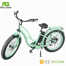 High Speed Long Range City Ebike Electric Bike Made in China